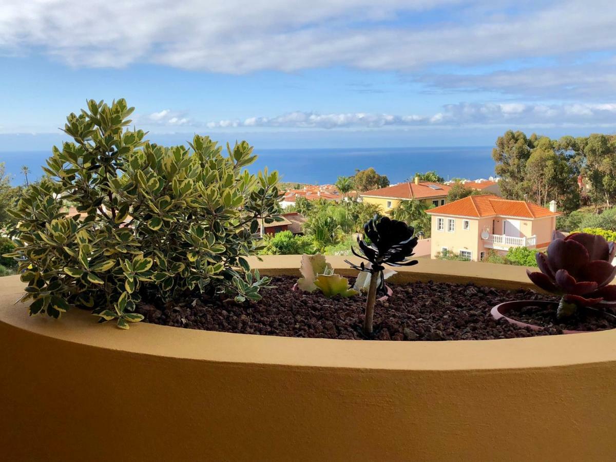 Terraza Vista Oceano La Quinta Apartment ซานตา เออร์ซูลา ภายนอก รูปภาพ