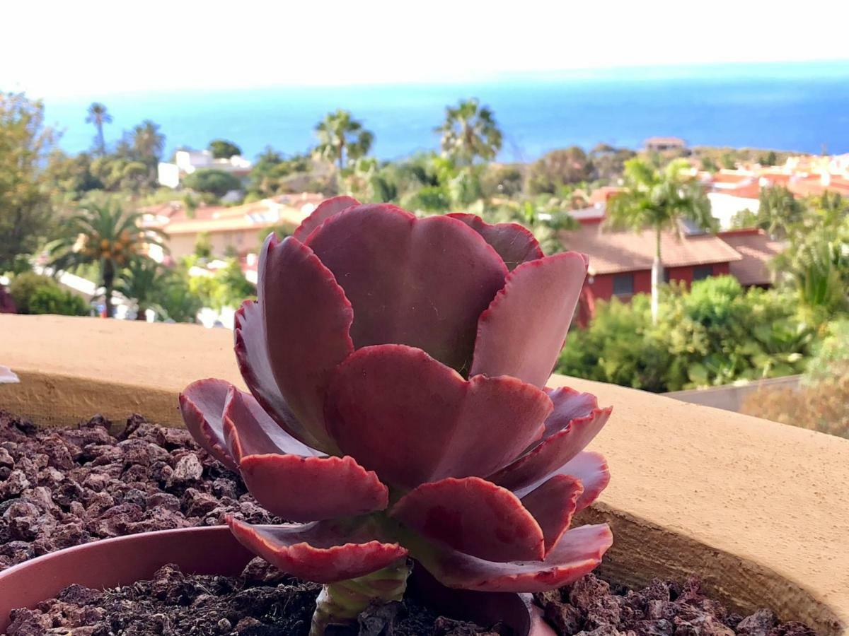 Terraza Vista Oceano La Quinta Apartment ซานตา เออร์ซูลา ภายนอก รูปภาพ